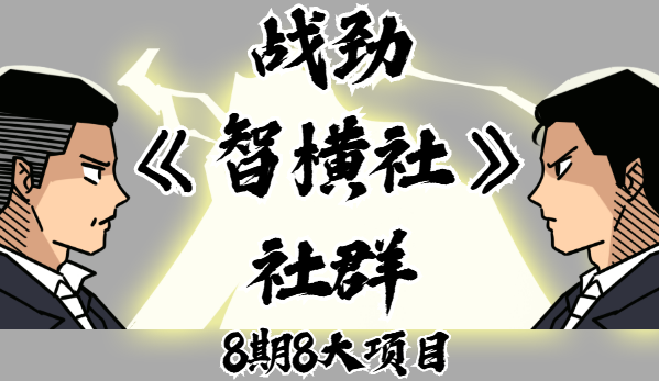 战劲《智横社》社群，8期8大项目