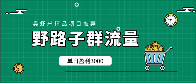 野路子群流量项目：稳定之后可实现日盈利3000-5000，轻松实现月入3万+