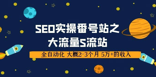 SEO实操番号站之大流量S流站，全自动化 大概2-3个月 5万+的收入