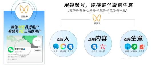 从0到1带你玩赚视频号：这么玩才赚钱，日引流500+日收入1000+核心玩法