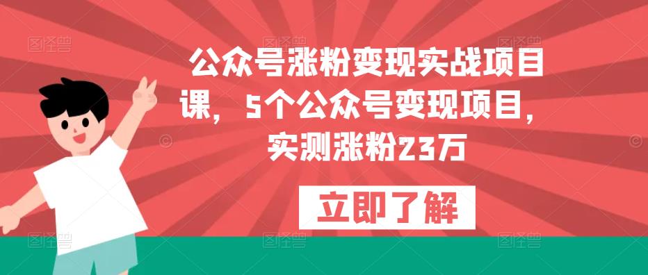 公众号涨粉变现实战项目课，5个公众号变现项目，实测涨粉23万