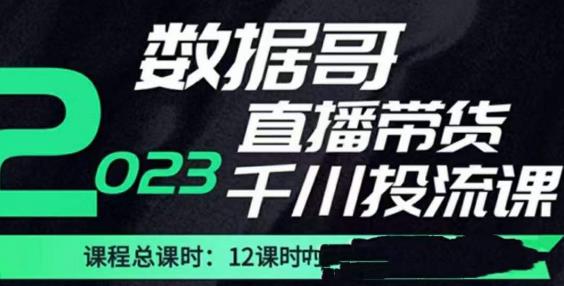 数据哥2023直播电商巨量千川付费投流实操课，快速掌握直播带货运营投放策略