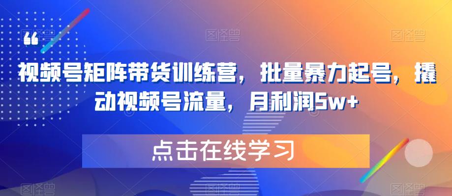 视频号矩阵带货训练营，批量暴力起号，撬动视频号流量，月利润5w+