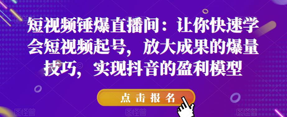 短视频锤爆直播间：让你快速学会短视频起号，放大成果的爆量技巧，实现抖音的盈利模型