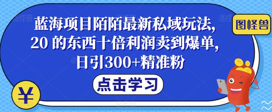 蓝海项目陌陌最新私域玩法，20 的东西十倍利润卖到爆单，日引300+精准粉【揭秘】