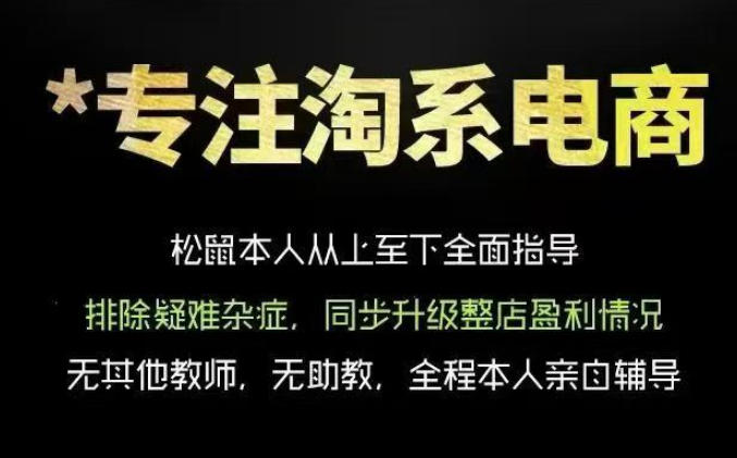 松鼠会电商VIP课程，从基础布局到高阶优化，助你掌握淘宝运营逻辑，提升店铺流量与转化（更新0823）